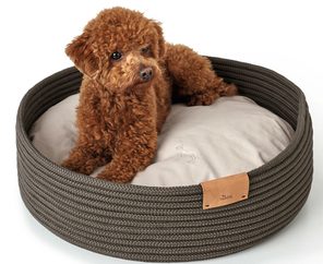 Perro en cesta para perros